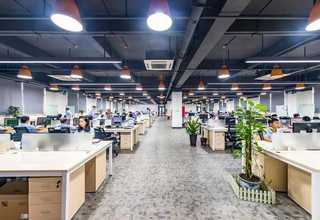 景宁柴犬壁纸高清