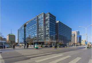 佛山新房白蚁植物